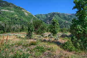 Mountain View from Lot