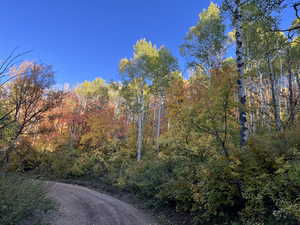 Photo 35 of 28  MOOSE HORN RD,  #28