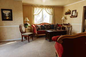 Carpeted living room with crown molding