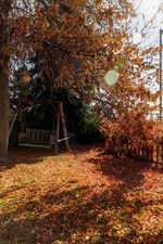 View of backyard