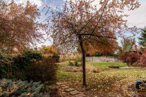 View of backyard