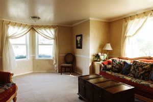 Living room featuring carpet and crown molding