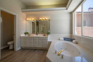 Bathroom featuring toilet, wood-type flooring, and dual bowl vanity