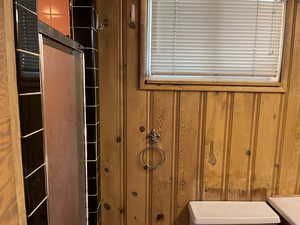 Bathroom with toilet and wooden walls