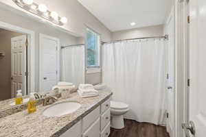 Master Bathroom featuring vanity, toilet, and hardwood / wood-style floors