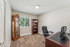 Office with carpet and a textured ceiling