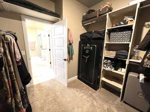 Spacious closet featuring light carpet