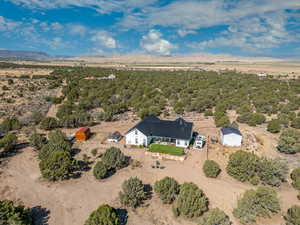 Drone / aerial view featuring a mountain view