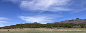 Mountain view featuring a wooded view