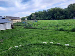 The healing green of summer!