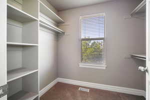 Spacious closet featuring carpet flooring