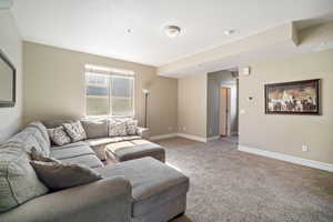 Living room featuring carpet floors