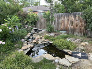 Backyard Pond