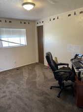 Carpeted office featuring a textured ceiling