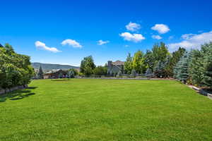 View of yard with a mountain view and a trampoline