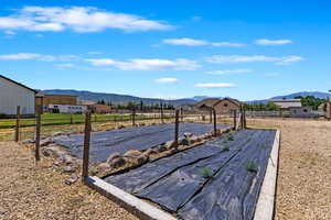 Personal garden with abundance of fruit and vegetables growing. View of yard with a mountain view and a rural view