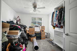 Interior space featuring carpet and ceiling fan