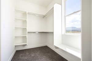 Spacious closet featuring dark colored carpet