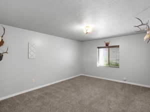 bedroom featuring carpet floors and a textured ceiling