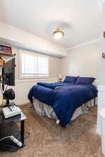 Bedroom featuring ornamental molding and carpet