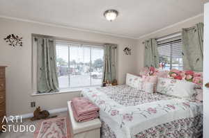 Bedroom with crown molding