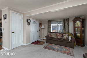 Carpeted living room featuring crown molding and a textured ceiling