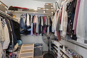 Spacious closet featuring carpet flooring