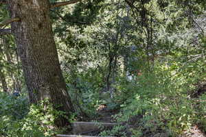 View of landscape