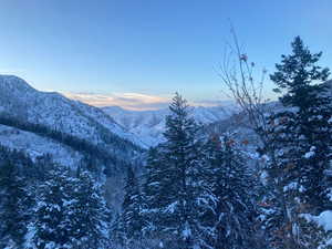 Winter Mountain view