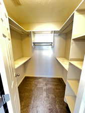 Walk in closet featuring carpet floors