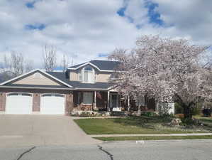 The tree in the front yard blooms beautifully in the spring!