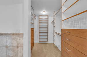 Primary Spacious closet with light carpet