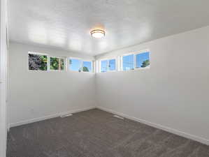 Carpeted empty room with a textured ceiling