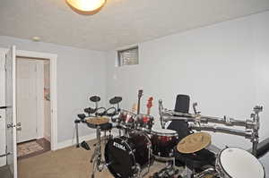 Miscellaneous room with carpet and a textured ceiling