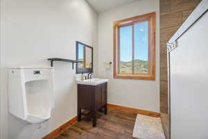 Bathroom with wood-type flooring and vanity