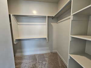 Spacious closet featuring carpet