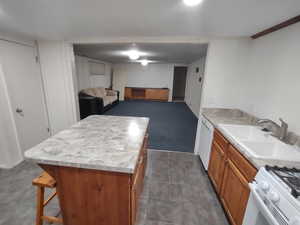 Basement Kitchen