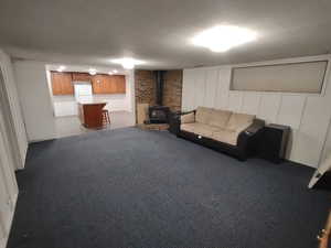 Basement Family Room