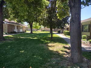 Front Walkway