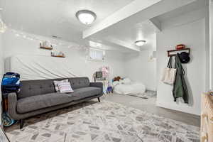 Living room with a textured ceiling