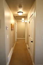 Hallway featuring carpet