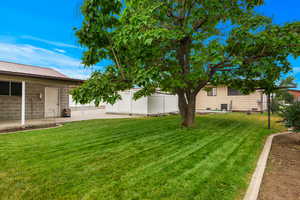 View of yard with a patio