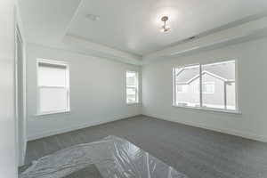 Empty room with carpet flooring, a tray ceiling, and plenty of natural light