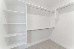 Spacious closet featuring carpet flooring