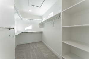 Spacious closet featuring light carpet