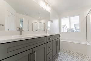 Bathroom with separate shower and tub and vanity