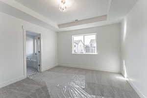 Spare room with light colored carpet and a tray ceiling