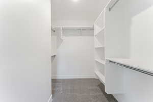 Spacious closet with carpet flooring