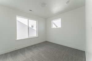 Carpeted spare room featuring plenty of natural light and a textured ceiling