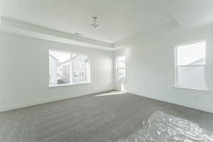 Empty room with carpet, a tray ceiling, and plenty of natural light